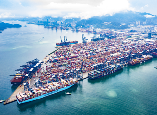 口岸通关服务(图9)