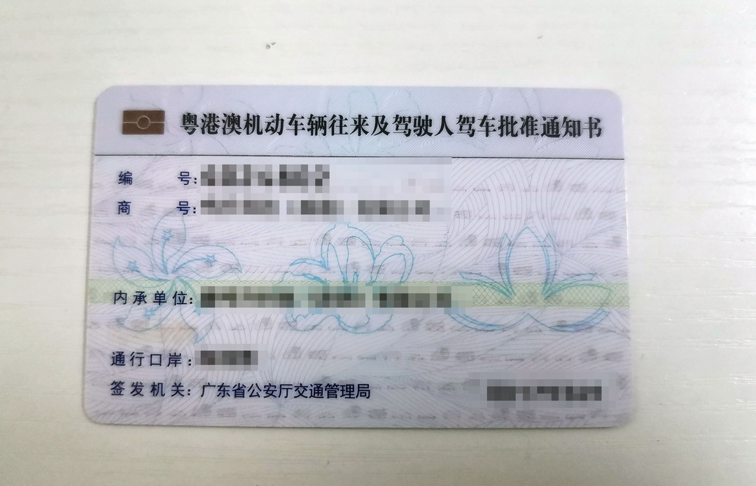 新政红利下的粤港两地牌：从申请到续期的全方位指引(图1)